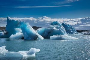 croisière en Antarctique : quelle compagnie choisir ?
